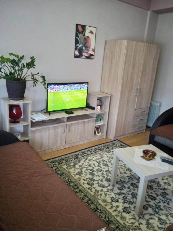 Apartman Nikolic Bor Exterior photo