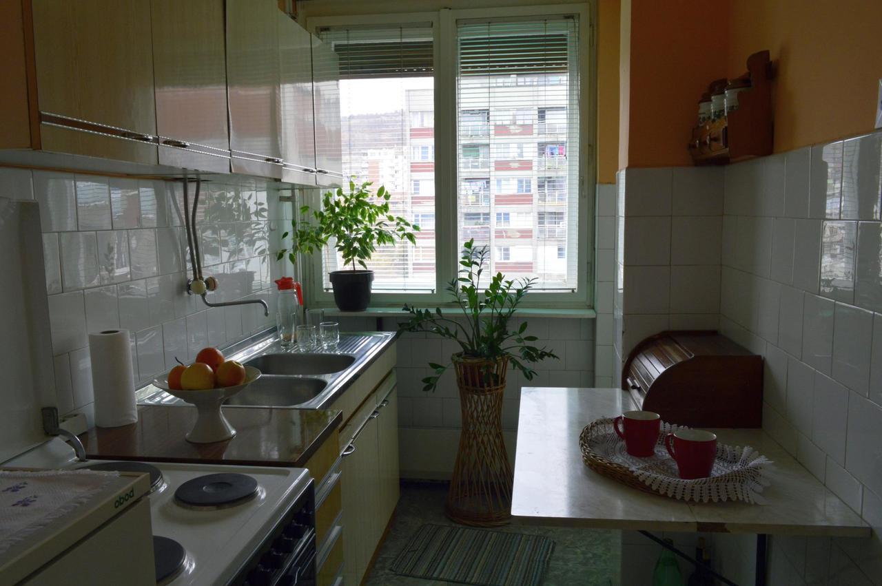 Apartman Nikolic Bor Exterior photo